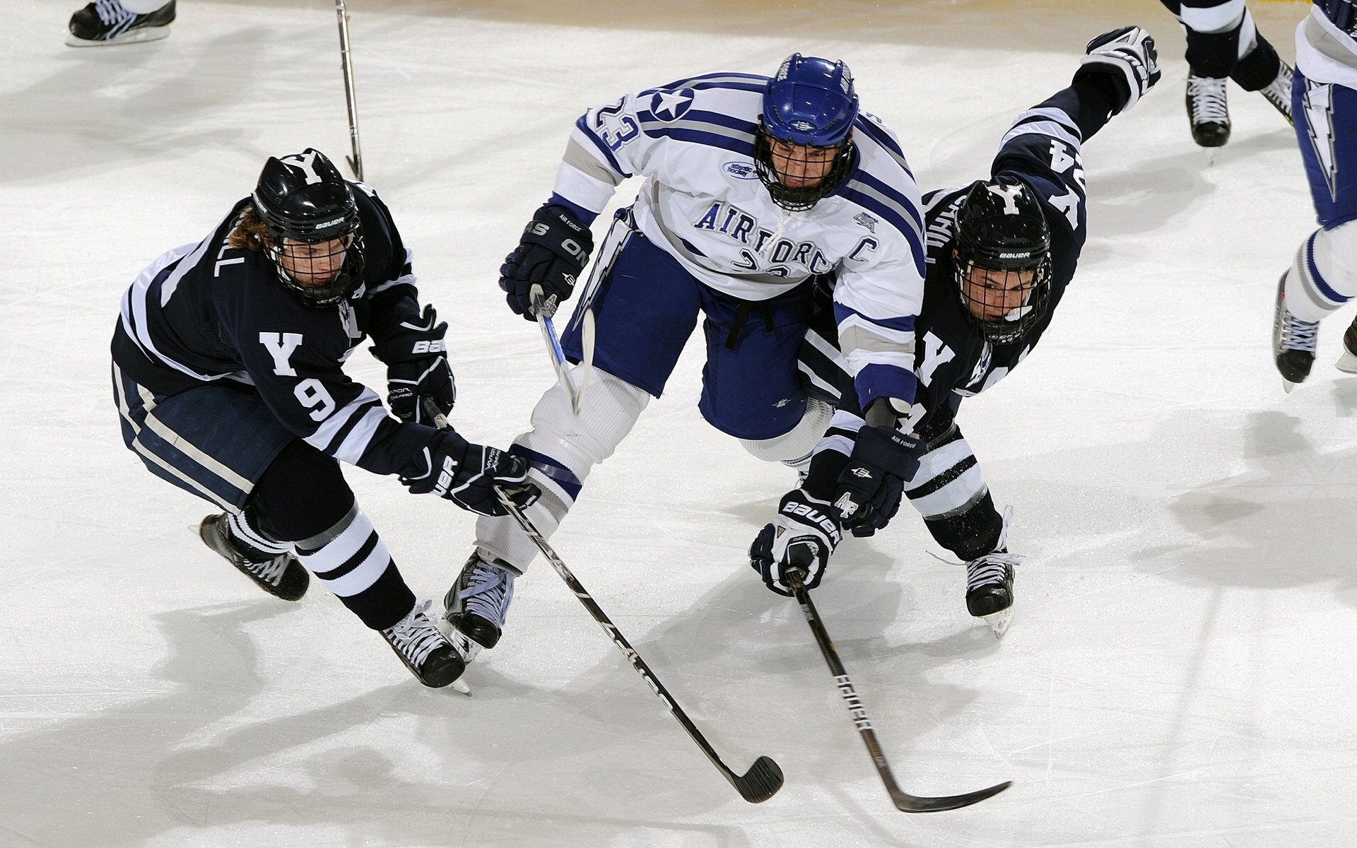 体育明星年度表现排行榜